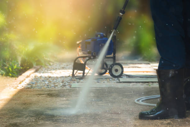 Animal Enclosure Cleaning in Lake Goodwin, WA